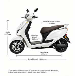 Scooter Urbain Électrique BYN6l 800W-1000W 48V/60V à Faible Teneur en Carbone pour Moto et Cyclisme Urbain - Product Image 4