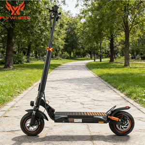 Trottinettes et trottinettes électriques US, UE, Allemagne, pneus de 10 pouces, moteur 600W, 2 roues, pliables, pour adultes - Product Image 1