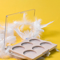 Vente en gros Palette de fard à paupières transparente vide à 6 couleurs avec logo personnalisé Emballage compact de fard à paupières cosmétiques