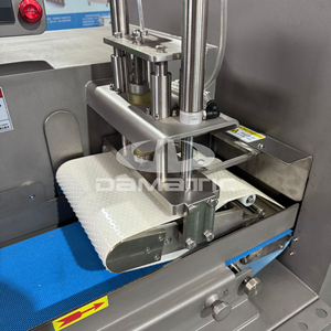 Machine à découper en cubes automatique commerciale pour viande de porc, de mouton et de bœuf congelée, pour boucher - Product Image 4