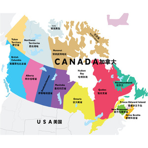 Service de Consolidation de Fret Aérien International Didi Canada Expédition Express Porte-à-Porte avec Dédouanement Double et Taxes Incluses - Product Image 2
