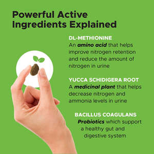 Golosinas Masticables Suaves de Hierba Verde para Perros Honey Pet OEM ODM - Orgánicas, Saludables para la Digestión, Salud Intestinal y Urinaria, Enzimas, Probióticos, Reducen el Color Amarillo - Product Image 5