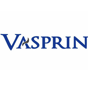 Shenzhen Vasprin Industry Co., Ltd. logo