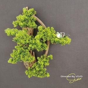 50X10cm simulación saludo Pino hecho a mano pequeño árbol colgante de pared decoración colgante estudio sala de estar pared del Hotel - Product Image 4