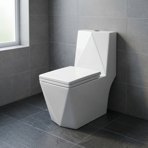 Modern <b>Egg</b> Shape One Piece <b>Ceramic</b> Toilet Floor Mounted Water Closet Dual Flush Multiple Color Sanitary Ware - Product Image 6