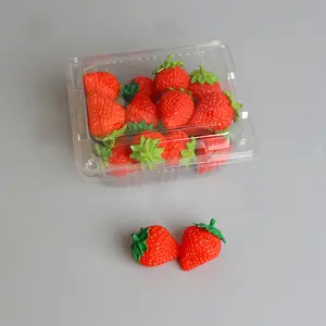 Großhandel DispoBox Frisch obst behälter Kunststoff Kirsch verpackung Clam shell Blister Verpackung für Früchte