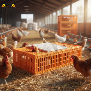 New Open Top Door H-Type Chicken Transport Coop AYTAV-12-16 Capacity All Seasons PE Material Long Service Life - Product Image 3
