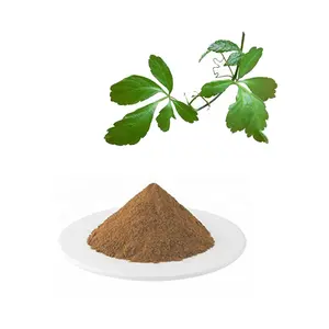 Hongda Supply Gynostemma Pentaphyllum Extract Poeder Gypenosiden 98%