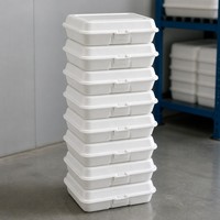 Contenitore per Pranzo Monouso in Schiuma PS Leggera di Grado Alimentare con 3 Scomparti, Design Impilabile, Isolamento Termico, Impermeabile e Resistente all'Olio