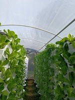 Nouveau système hydroponique vertical de jardinage aéroponique en serre agricole