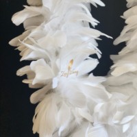 Boa en plumes de nagoire d'oie de 200g - Couleurs teintées, Vente en gros, Écharpe en plumes moelleuses pour mariage, costume, fête, décoration