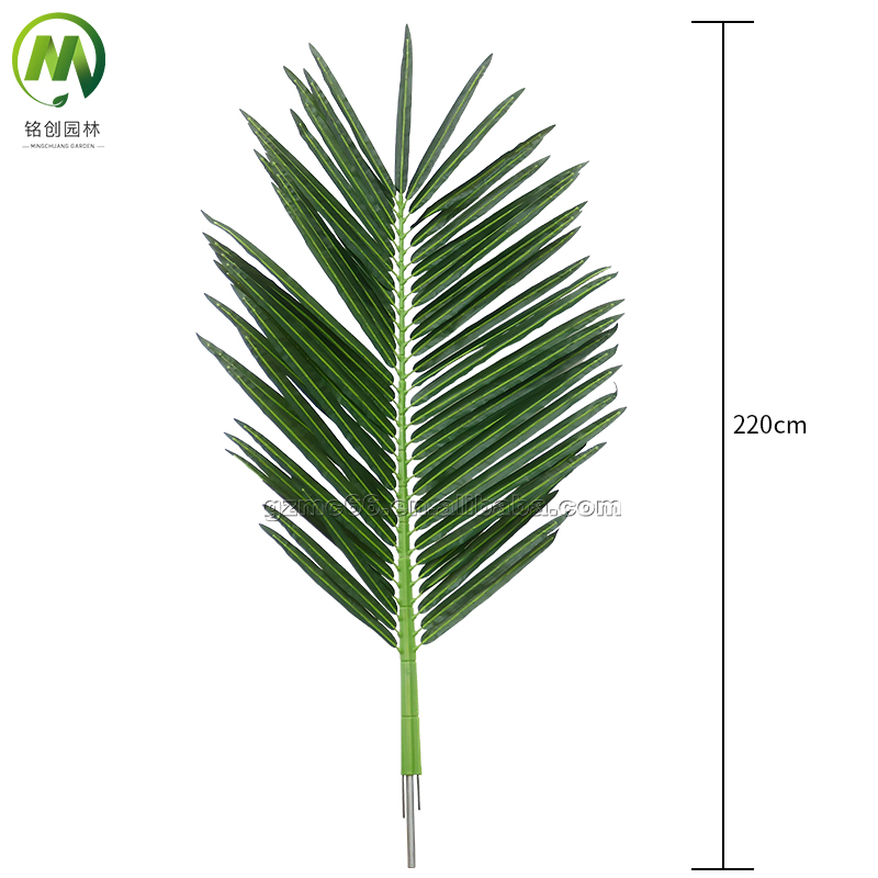 220 cm