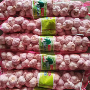 Ail frais chinois 2,5 KG, emballage en sac fileté, taille 5cm 5,5cm, prix abordable, ail frais blanc pur, exportation vers Dubaï - Product Image 1