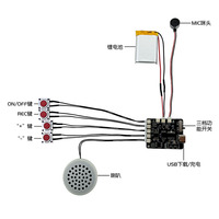 Módulo de Grabación de Sonido BT Personalizado de Fábrica, Módulo de Grabación de Voz y Música DIY con Chip, Altavoz, Cable Tipo-C, Grabación Fácil