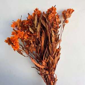 Bouquet de <span class=keywords><strong>fleurs</strong></span> séchées style Ins, 12 pièces, <span class=keywords><strong>fleurs</strong></span> éternelles, papillons de décoration artistique - Product Image 4