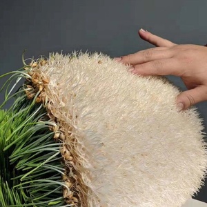 Thương mại lúa mì phát triển container thủy canh thức ăn gia súc hệ thống container cho thức ăn gia súc thức ăn cho gia súc bò dê cừu - Product Image 4