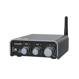 Hi-res Bluetooth 5.1 Audio verstärker Empfänger mit LDAC, aptX HD, 2 Kanal Klasse D Mini Amp 100W x 2 W/Cinch für passive Lautsprecher