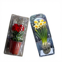 Barquettes en plastique transparentes écologiques personnalisées pour plantes, en PVC, PET, PS, pour le transport de graines, légumes et fleurs