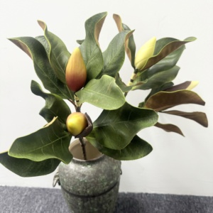 M562 hecho a mano lujoso Multi colores Real Touch seda <span class=keywords><strong>Magnolia</strong></span> hoja y ramas para boda Día <span class=keywords><strong>de</strong></span> la madre decoraciones <span class=keywords><strong>de</strong></span> Navidad - Product Image 1