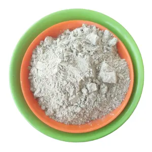 2023 naturale ad alta purezza 99% nm dimensioni clinoptilolite zeolite polvere di zeolite bianca in polvere per uso alimentare