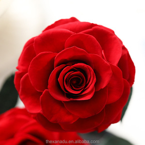 Caja de regalo de acrílico Rosa preservada de larga duración, regalos de lujo hechos a mano reales <span class=keywords><strong>para</strong></span> <span class=keywords><strong>siempre</strong></span>, 5cm, 68 colores, 8 Uds. - Product Image 1