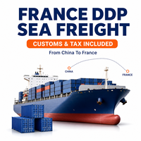 Transport maritime de la Chine vers la France, livraison DDP porte-à-porte avec dédouanement et traitement des droits de douane