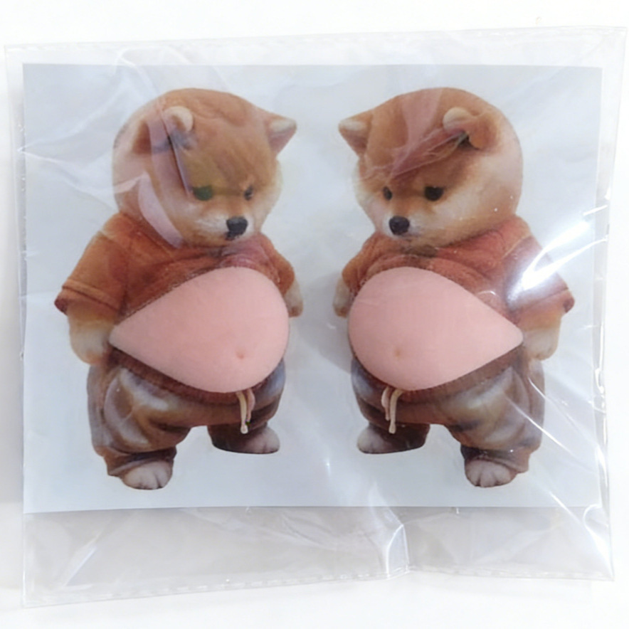 Une paire de shiba inus