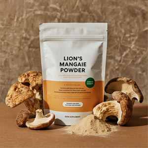Oem Biologische Leeuwenmanen Paddestoelpoeder-Puur Nootropisch Schimmel Vruchtdragende Lichaamspoeder Voor Volwassenen - Product Image 4