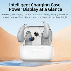 Preço de fábrica 32 Canais Digital APP Controle Recarregável <span class=keywords><strong>RIC</strong></span> <span class=keywords><strong>Hearing</strong></span> Aids para Idosos - Product Image 3
