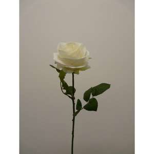 ROSA MARIA SPRAY X1 68CM WH - Product Image 1
