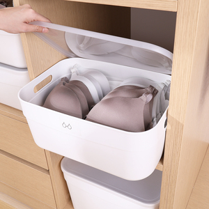 Caja de almacenamiento de plástico HAIXIN caja clasificada de PE con técnica de inyección de tapa para artículos diversos - Product Image 1