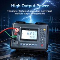 Fast Test Measuring Instruments HV Insulation Resistance Tester HV Megohmmeter 5kV