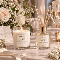 AIKUN Coffret Diffuseur de Parfum Personnalisé d'un Jour aux Huiles Essentielles Naturelles de Luxe – Vente en Gros