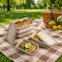 Boîte à lunch en amidon de maïs premium 500 ml, compartiment unique, biodégradable, avec couvercle, emballage en clamshell, 2 compartiments