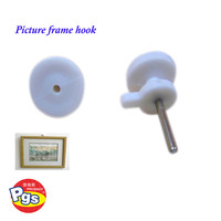 Prodigy autres fournitures pour bébés crochet à clous de haute qualité en plastique ABS 20 pièces petite usine crochets à vis pour mur