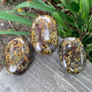 Rare pierre de palmier polie azubalite pierre de guérison scintillante pour l'attraction d'énergie positive amour harmonieux et décor bohème à la maison - Product Image 1