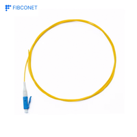 Pigtail Fibre Optique Haute Qualité 12 Cœurs Monomode LC UPC LZH/PVC TDM 900 0.9mm pour FTTH