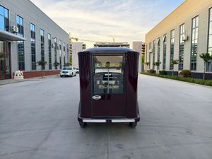 Vehículo eléctrico chino de lujo, personalizado, estilo retro vintage, con generación de energía solar. - Product Image 2