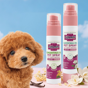 エッセンシャルオイルフォーミュラペットヘア看護および修理香水スプレーペットグルーミング製品犬肌保湿スプレーアルコールフリー - Product Image 1