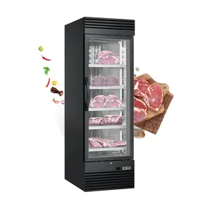 Comercial Salame Queijo Carne Carne Carne Bife Armazenamento Seco Idade Cura Câmara Refrigerador Armários Refrigerador Com Compressor Importado