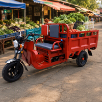 Tricycle utilitaire à essence avec grande caisse en acier et propulsion arrière, moteur à essence à 3 roues pour la livraison sur le marché