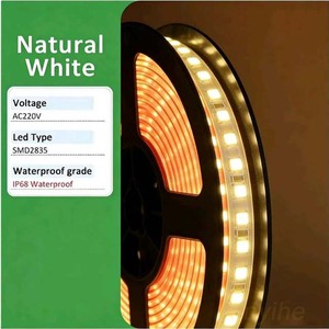 Bande lumineuse <span class=keywords><strong>LED</strong></span> AC 220V, étanche, SMD 2835, 120LEDs/m, 1M, 5M, 10M, <span class=keywords><strong>ruban</strong></span> flexible, lampe pour éclairage domestique, décoration extérieure - Product Image 4