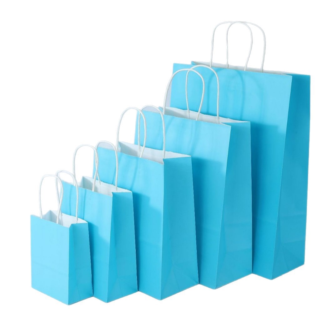 Luxury Custom Size Packaging Paper Handle Paper Bag, Kraft Paper Gift Shopping Bag
