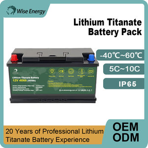 Batería de Litio Titanato de Alta Potencia Personalizada LTO 5S2P de 12V 40Ah para Barco - Product Image 4