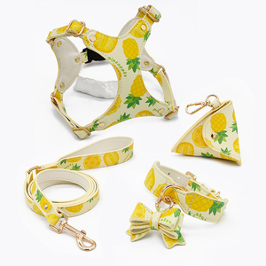 Venta al por mayor de arneses originales de moda imprimibles para mascotas, correas, collares para gatos y perros Suministros transfronterizos para mascotas - Product Image 2
