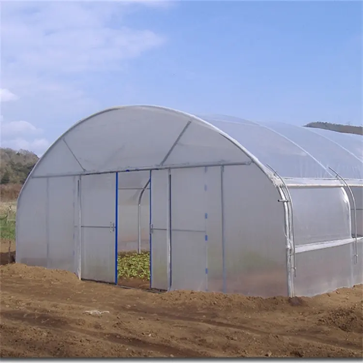 Low Cost 8x30m Agriculture Plastic Film Poly Tunnel Greenhouse Single Span Greenhouses