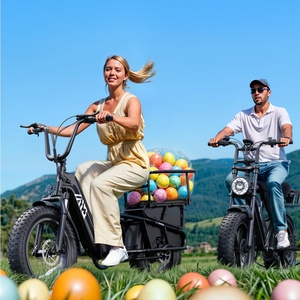 Zerogo 2025 K008 Bicicleta Eléctrica de 500w para Adultos, 15ah, 50km de Autonomía, con Motor Trasero R008 para Niños - Product Image 2