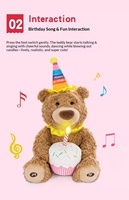 Ours en peluche chantant et enregistrant HongRuiKe, avec chapeau de fête coloré et bougie lumineuse, rembourré en coton PP – Fournisseur d'usine