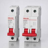 Disjoncteur miniature Delixi DZ47SZ DC250V 2P 6-63A, protection de circuit CC pour systèmes solaires et de stockage d'énergie par batterie