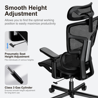 Support lombaire réglable, pivotant à 360 °, chaise de bureau haut de gamme en maille pour les bureaux exécutifs